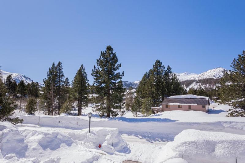 Mammoth Green # 105 Mammoth Lakes Oda fotoğraf
